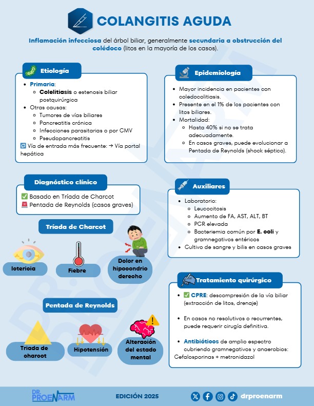 Flashcard 1
