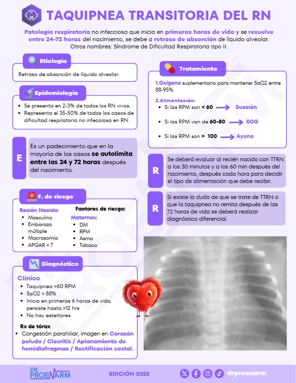 Flashcard 3