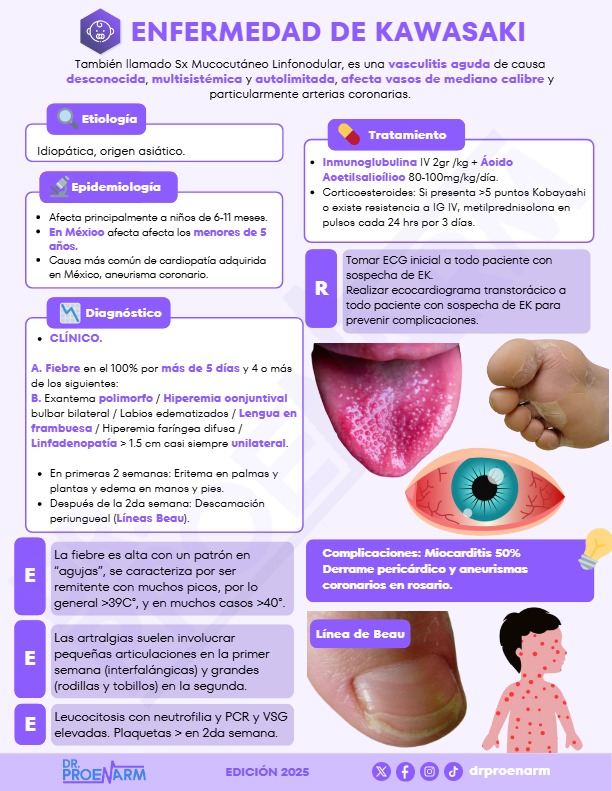 Flashcard 4