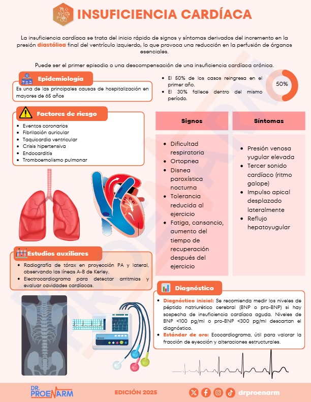 Flashcard 5