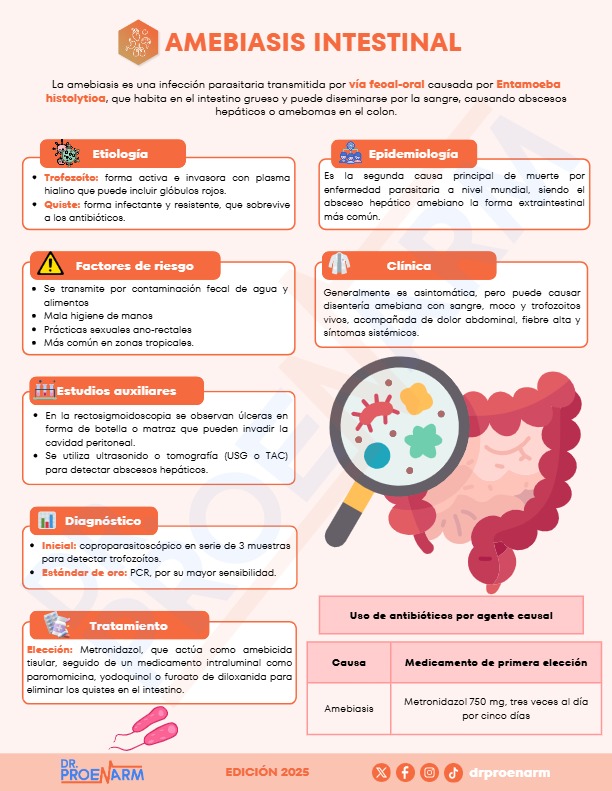 Flashcard 6