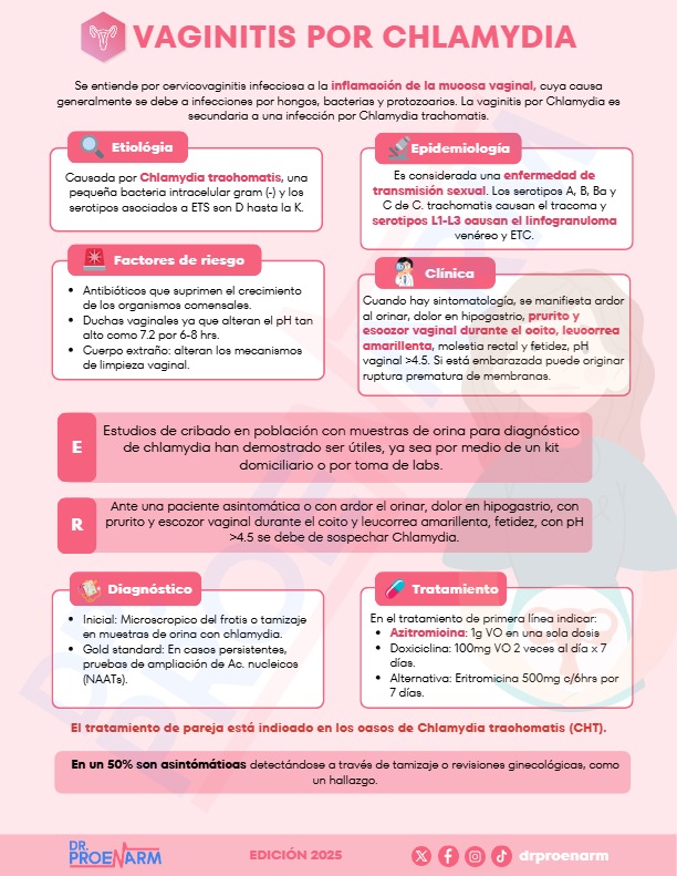 Flashcard 7