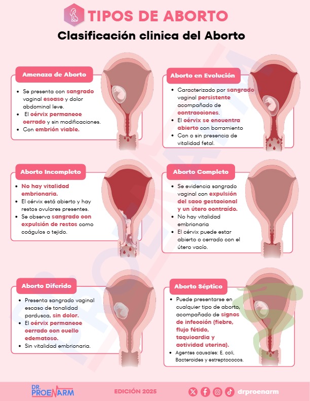 Flashcard 8